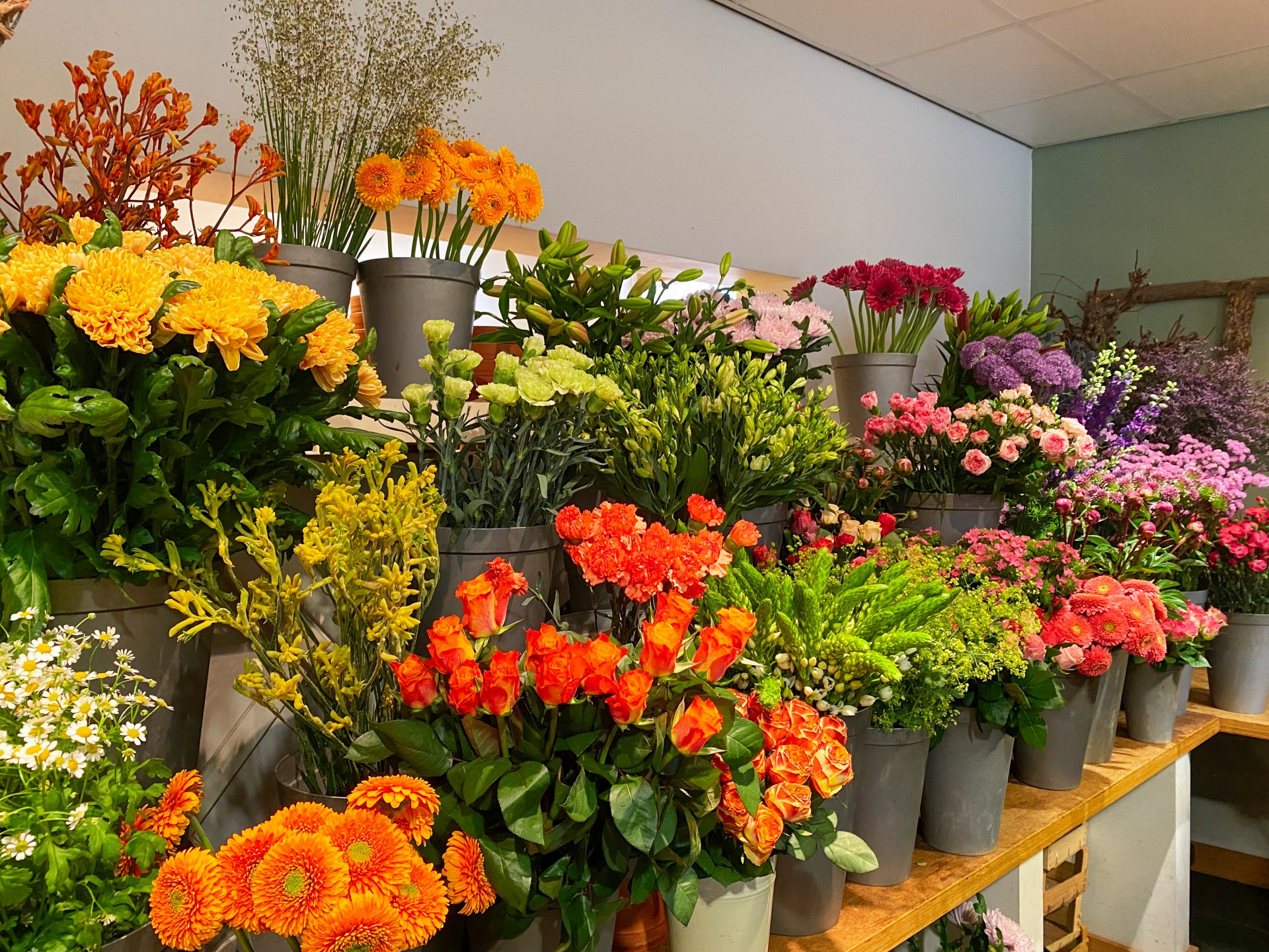 Verse bloemen
