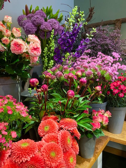 Verse bloemen